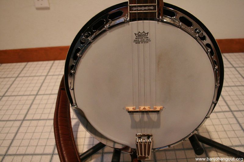 Fender banjo serial number